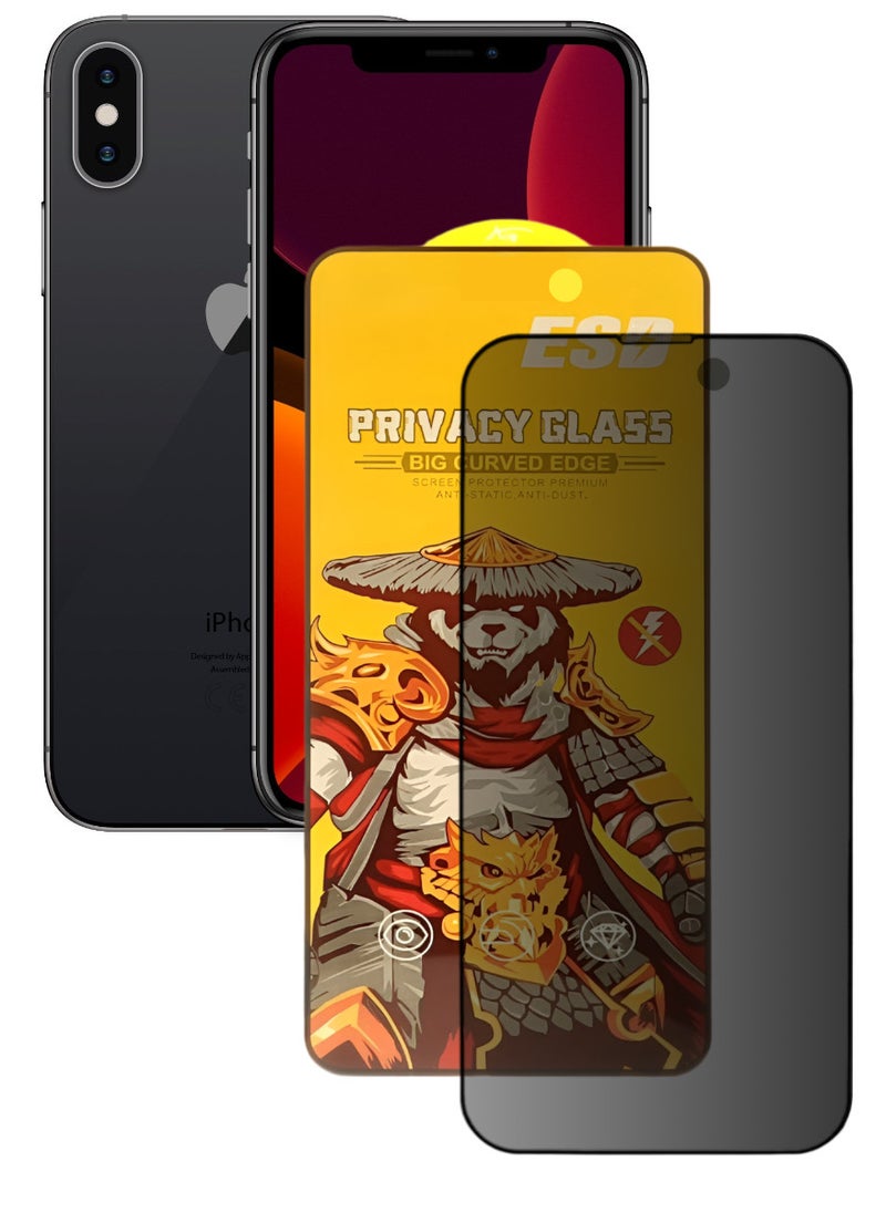 ESD Tempered Dustproof Privacy Glass Screen Protector Compatible For iPhone X - Image 1