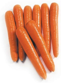 500 Seeds of Carrot Eskimo