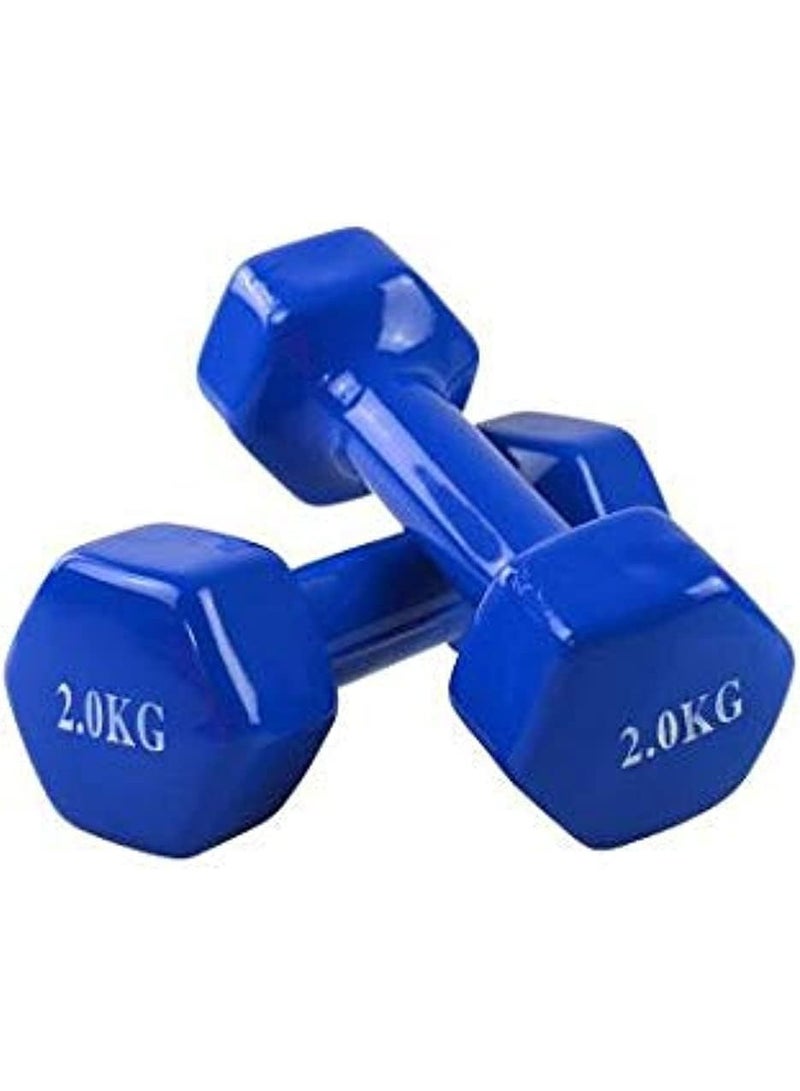 DUNISO 2 Pcs Dumbbells, Fitness Dumbbells, Weightlifting Dumbbells with Anti Slip Handles, Sturdy and Durable，Suitable For Fitness, Home Use, Exercise, Weightlifting, Yoga, 2KG Each，Blue - Image 1