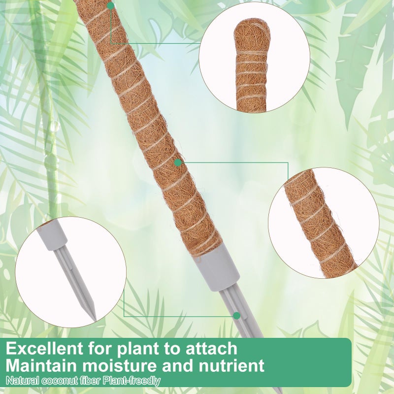 LIFENEST 3 Pack Moss Pole, 50 Inch Monstera Plant Support, Tall Moss Poles for Climbing Plants Indoor DIY, Coco Coir Plant Pole Moss Plant Stick Support Stake Kit for Potted Plants, Pothos, Philodendron - Image 5