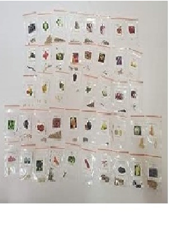 نو - بذور فواكه وخضروات - Image 1