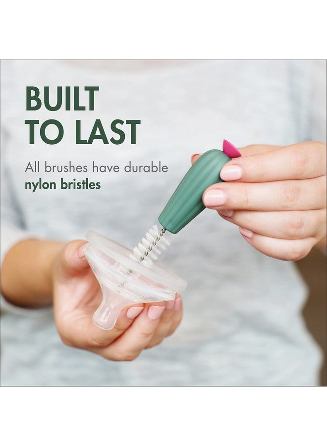 بون مجموعة فرشاة تنظيف زجاجات بون كاكتي، لون تيراكوتا، مكونة من 4 قطع - Image 4