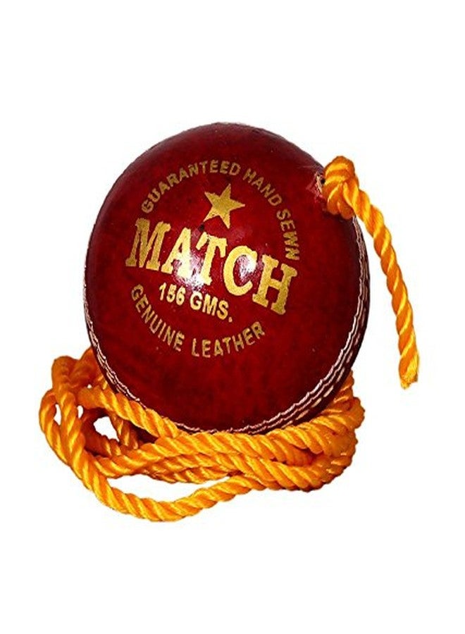 Tima Knocking Ball Cricket Ball Hanging and with Cord for Batting Practice Size:5.5 Diameter 2.5 cms - Image 2