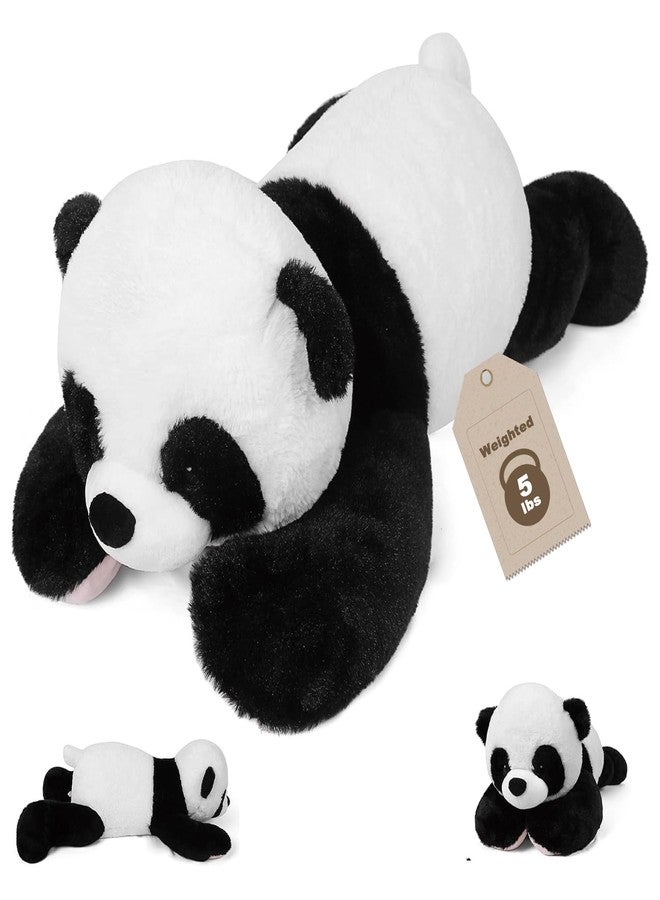 JellyMallow 5 lbs 24 inches Panda Weighted Stuffed Animals, Cuddly Weighted Panda Plush Pillow Giant Plushie Ideal Gift for Adults & Kids - Image 1