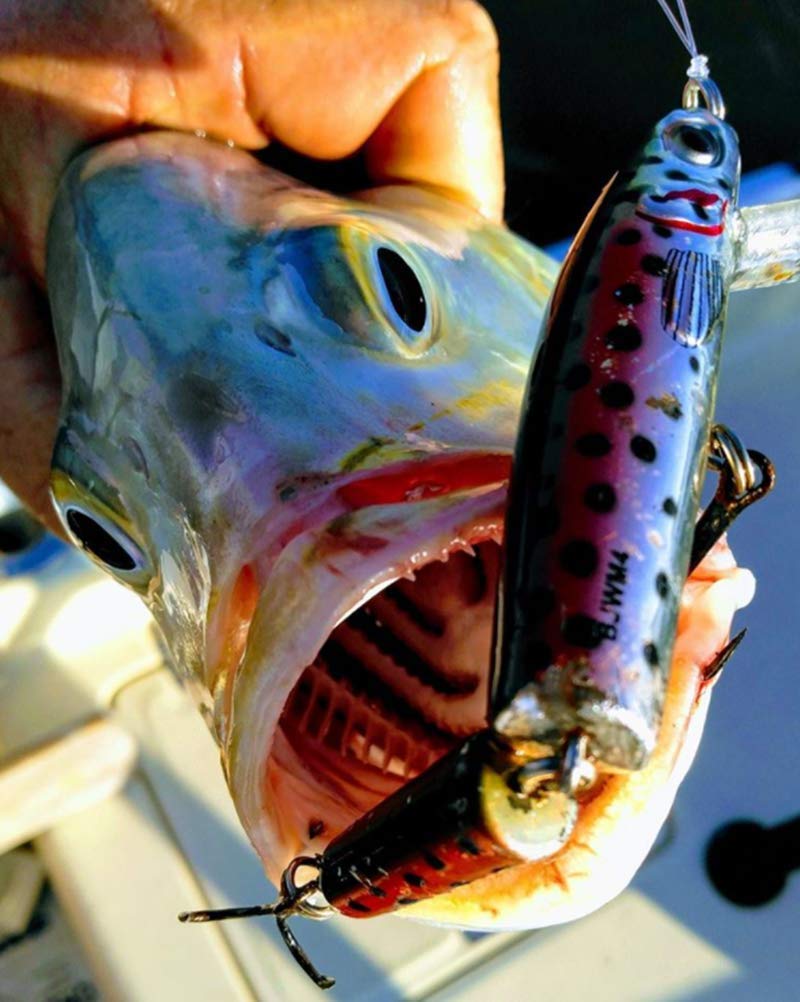 Bomber Jointed Wake Minnow Mullet, (BJWM5432) - Image 5