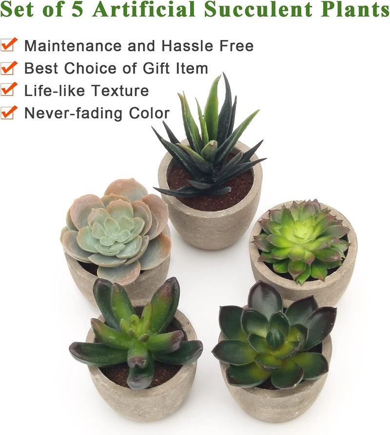 Coitak Artificial Succulent Plants Potted, Assorted Decorative Faux Succulent Potted Fake Cactus Cacti Plants with Pots, Set of 5 - Image 4