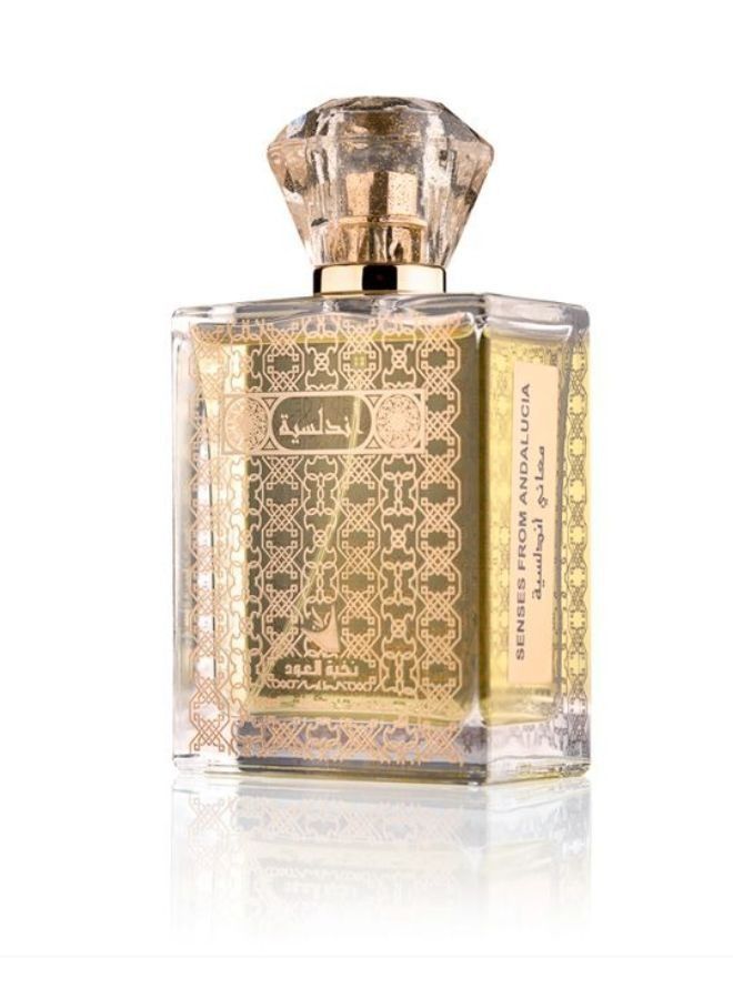 OUD ELITE Maany Andalusia EAU DE PARFUM 100ML - Image 2