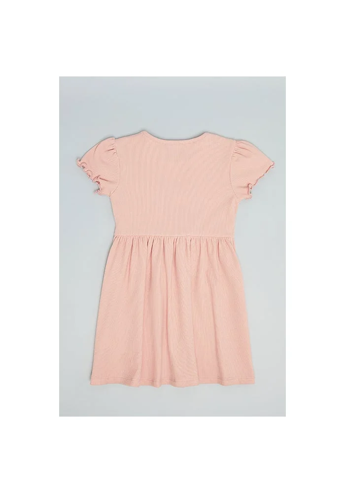 R&b Embroidery Detail Flared Dress with Crew Neck and Puff Sleeves
