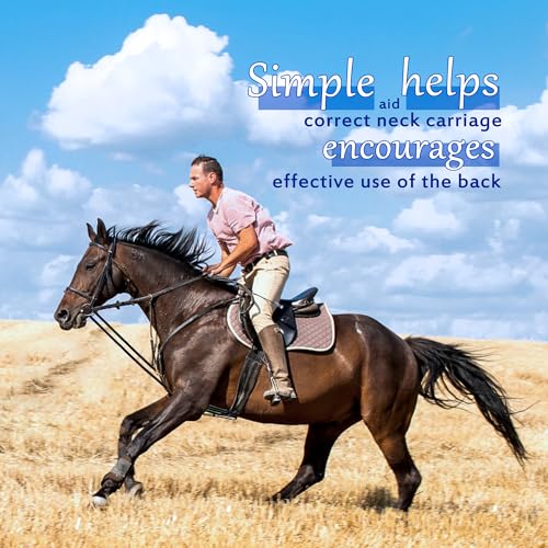 Gtainsoil Extra Long 13ft Horse Rein Elastic Neck Stretcher Adjustable Rope Bungees for Horse Training Aid Alternative to Side Reins 4 Meters - Image 4