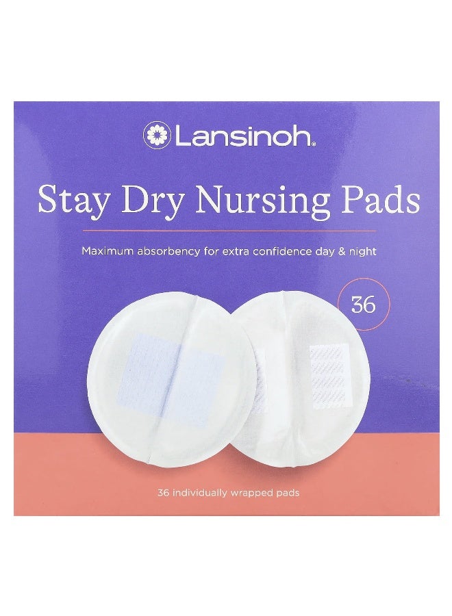 Lansinoh, Stay Dry Nursing Pads, 36 Individually Wrapped Pads - Image 1