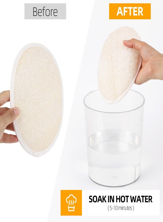 Ohlove Natural Loofah Exfoliating Body Scrubber, 4 Pcs 7x5 Inch Bath Shower Loofah Body Sponge for Men and Women - Image 3