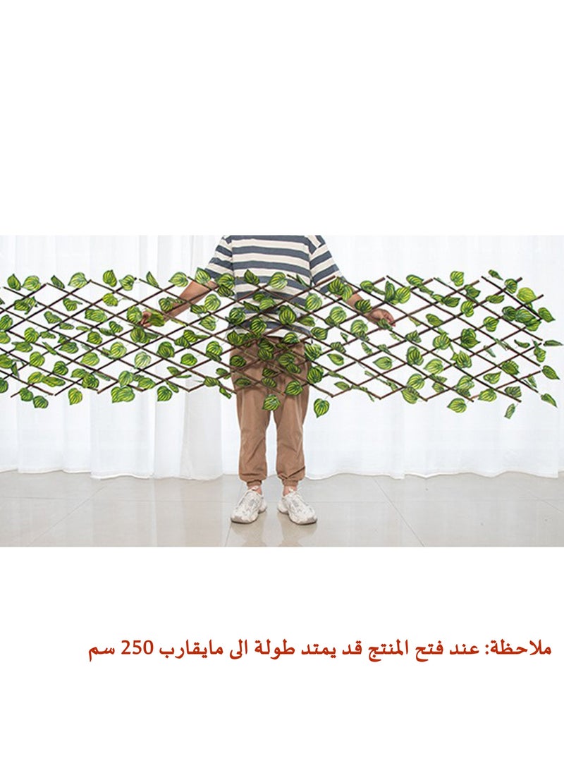 درامــــــا هوم  - أوراق نبات اللبلاب الصناعي مزودة بسياج خشبي أخضر/بني 70 سنتيمتر - Image 1