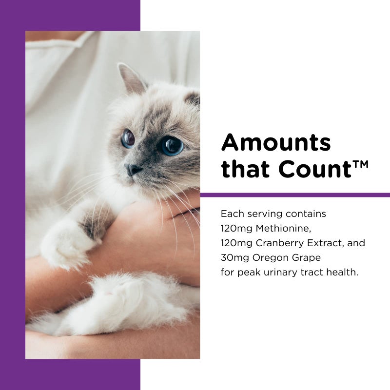 nutri vet Nutri-Vet Uri-Ease Paw Gel for Cats, Cat Urinary Vitamin, Probiotic & Prebiotic Kitten Supplies, Cranberry Supplement, Immune Support Supplement, Gut health, Salmon Flavor, 3oz - Image 3