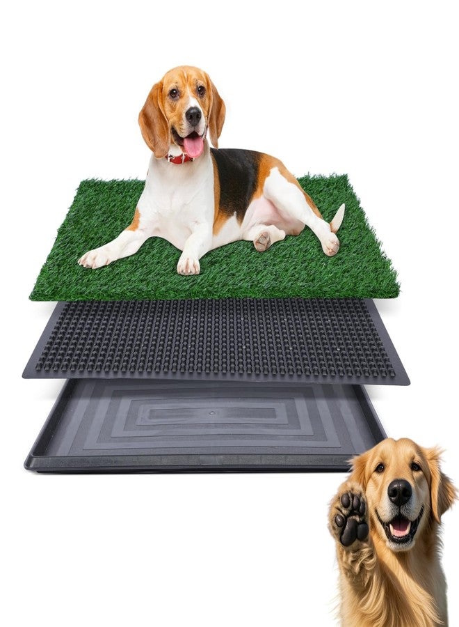 FluffyDream Artificial Grass for Dog Potty – 20x30 inch,Strong Absorbency Grass Pad with Tray,Dog Litter Box Potty Training Pad for Indoor Apartment Balcony (Large) - Image 1