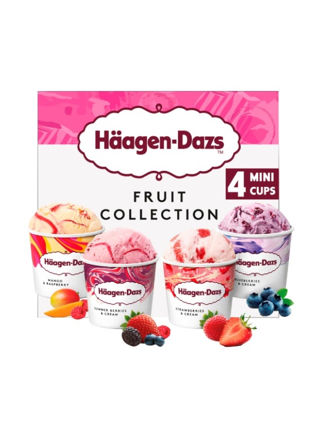Minicup Ice Cream, Fruit Collection - 380ml, France