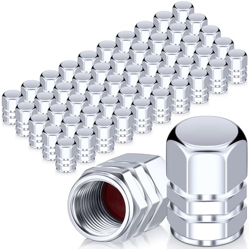 Tallew 50 Pcs Tire Valve Stem Caps Metal Valve Caps Aluminum Hexagon Tires Universal HeavyDuty Leak Proof Alloy Stem Cover for Car SUV Truck Bicycle Motorcycles Bikes WheelSilver - Image 1