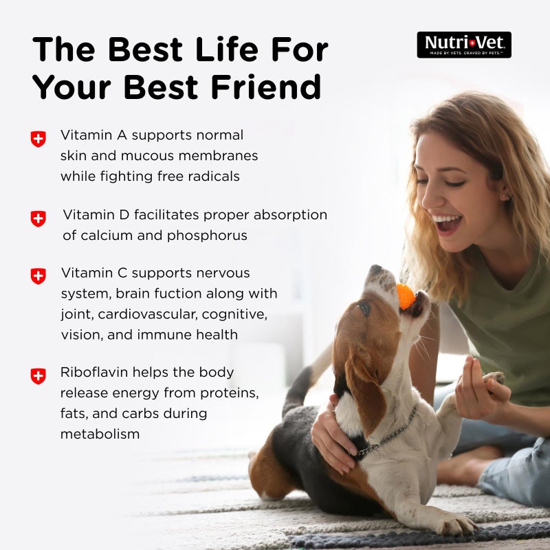 nutri vet Nutri-Vet Multi-Vite Chewables for Adult Dogs, Daily Multivitamin & Mineral Supplement for Overall Health, Immune Support, and Balanced Nutrition, 180 Count - Image 4