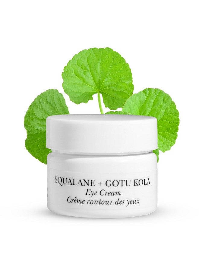 ناو بيوتي كريم سكوالان بلس غوتو كولا للعين لتفتيح البشرة ومضاد للشيخوخة تحت كريم العين المضاد للتجاعيد وفيتامين C كريم نباتي للرجال والنساء وخالي من الكبريتات والبارابين، حجم سفر 0.7 أونصة - Image 1