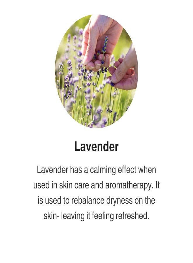 Jurlique Softening All Natural Body Lotion For Dry Skin - Image 3