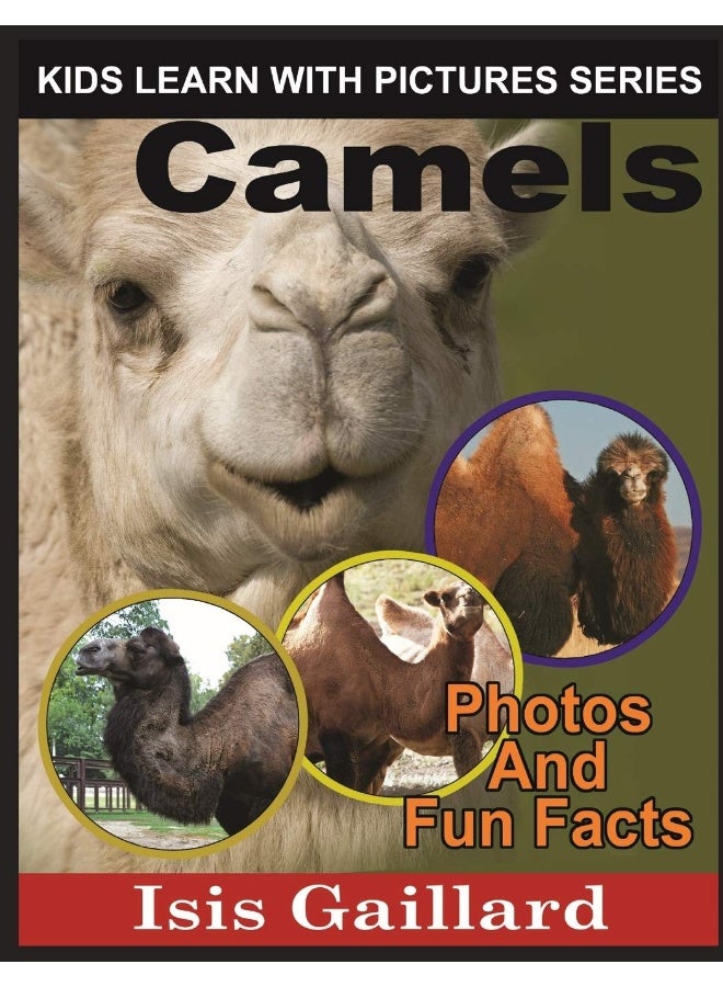 Camels: Photos and Fun Facts for Kids