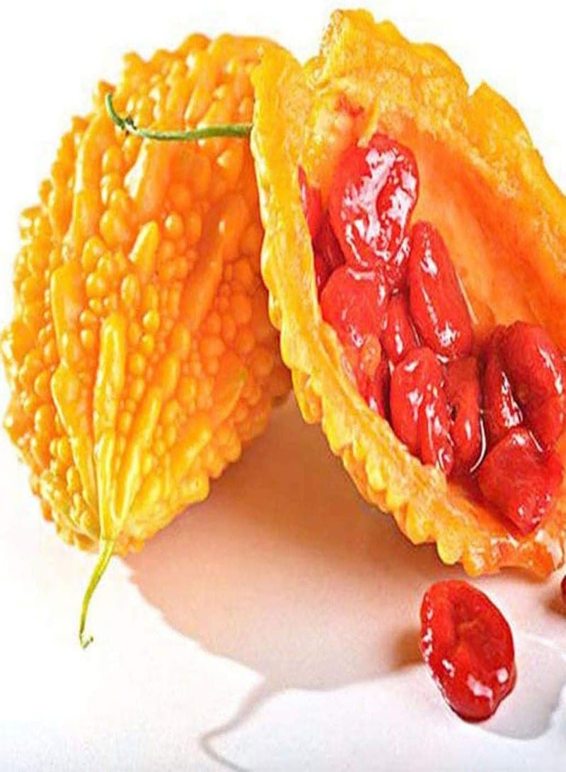 GGOOT 50Stück Bitterkürbis Samen die auf Balkonterrassen gepflanzt Werden Starke Anpassungsfähigkeit pflegeleicht schaffen unterschiedliche Feuchtigkeitsgehalte in der Gartenlandschaft - Image 2