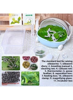 Generic Scientific Bag Spring Silkworm Live Larvae Student Mulberry Leaf Silkworm Baby Live Color Silkworm Suit Silkworm Eggs Mail Free Shipping-Specifications:Silkworm Color Set + Blue Cradle Truck Breeding Box (20 Mixed-color Silkworm Treasures + 100 Mixed-color Silkworm Eggs + Standard Tool For Raising Silkworms) [free Mulberry Leaves]  - Image 1