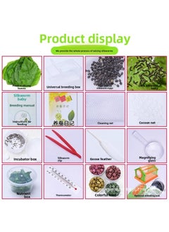 Generic Scientific Bag Spring Silkworm Live Larvae Student Mulberry Leaf Silkworm Baby Live Color Silkworm Suit Silkworm Eggs Mail Free Shipping-Specifications:Silkworm Color Set + Blue Cradle Truck Breeding Box (20 Mixed-color Silkworm Treasures + 100 Mixed-color Silkworm Eggs + Standard Tool For Raising Silkworms) [free Mulberry Leaves]  - Image 2