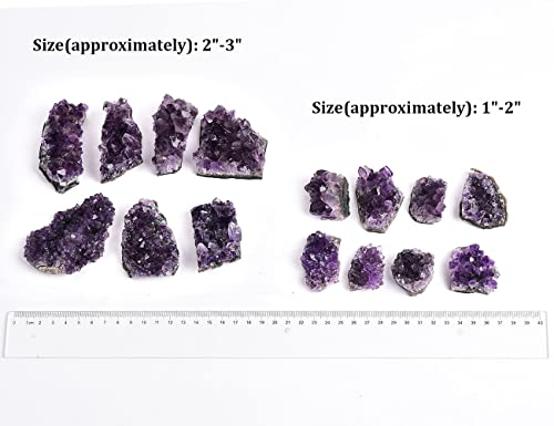 JIC Gem 1.1 Lbs Amethyst Clusters Natural Raw Amethyst Geode Purple Healing Crystal Stones Witchcraft Gemstone Specimen 1-2 Inch - Image 5