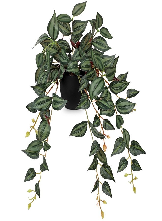 DILATATA Fake Plants Artificial Potted Plants 20 Inch Faux Peperomia Ivy Vine Plant Hanging Plant for Home Office Desk Shelf Indoor Outdoor Decor - Image 1