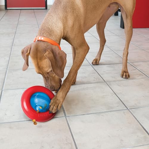 KONG Gyro - Interactive Dog Toy for Treat Dispensing - Dog Slow Feeder for Healthy Eating - for Medium/Large Dogs - Image 4
