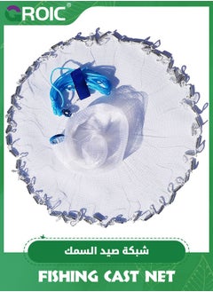Blue+White