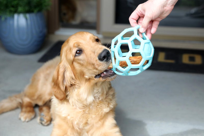 JW Pet HOL-ee Rollerâ„¢, Dog Toy Puzzle Ball, Natural Rubber, Large (5.5â€ Inch Diameter), Blue - Image 3