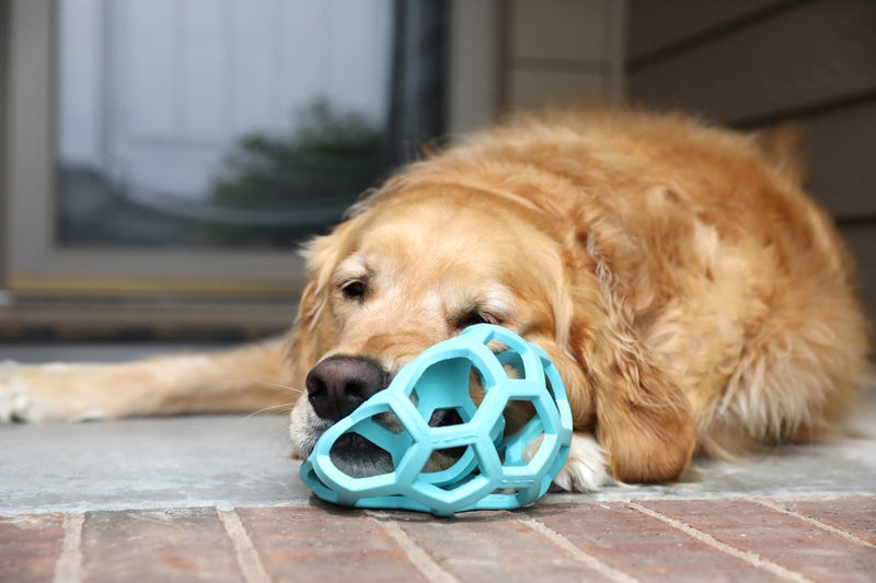 JW Pet HOL-ee Rollerâ„¢, Dog Toy Puzzle Ball, Natural Rubber, Large (5.5â€ Inch Diameter), Blue - Image 5