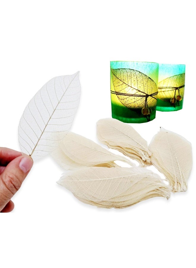 Changthai Design  100 Skeleton Leaves Rubber Tree Natural Color Scrapbooking Craft Diy Card Wedding - Image 3