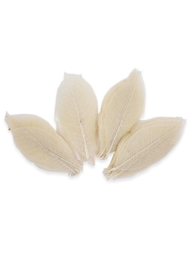 Changthai Design  100 Skeleton Leaves Rubber Tree Natural Color Scrapbooking Craft Diy Card Wedding - Image 5