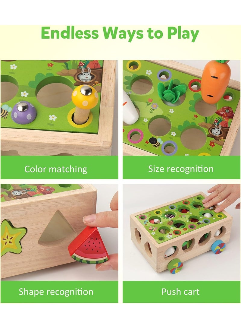 سوفام إنفانت و تودلر تورز، ودن شايب جامي "كاروت هارفيست"، Suitable Freschel Children Aged 3، أربعة، أربعة، خمسة - - Image 2