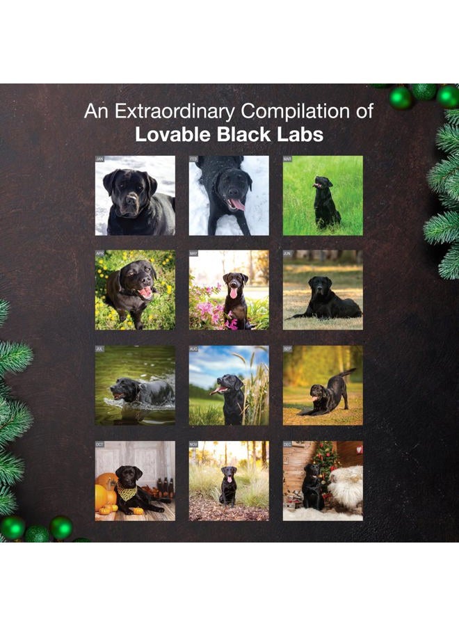 MICASA PRESS MICASA Black Labs 2026 Wall Calendar 12 Month | 12" x 24" Open | Thick & Sturdy Paper | Giftable | Calendar 2026 - Image 3