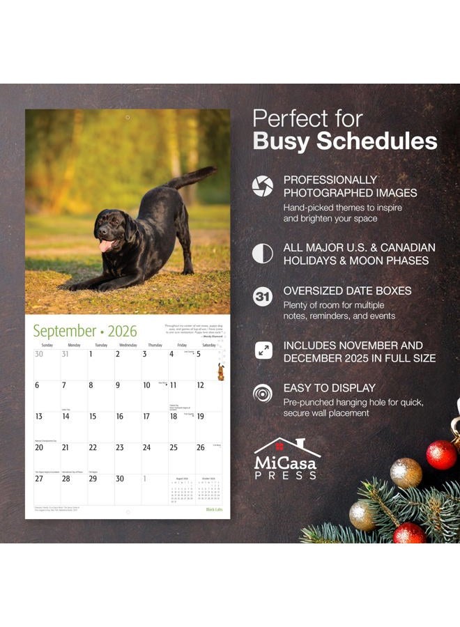 MICASA PRESS MICASA Black Labs 2026 Wall Calendar 12 Month | 12" x 24" Open | Thick & Sturdy Paper | Giftable | Calendar 2026 - Image 2