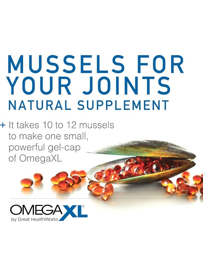 OmegaXL Omega Xl Green Lipped Mussel New Zealand, Omega 3 Natural Joint Pain Relief And Inflammation Supplement Capsule - 60 Capsules - Image 5