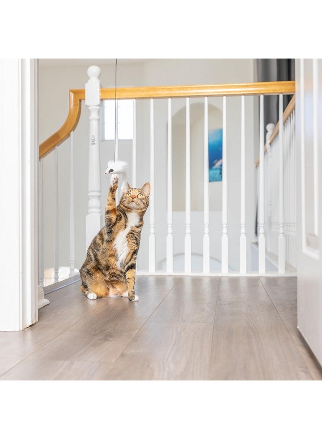 سبوت لعبة القطة SPOT A-Door-Able Bouncing Mouse - لعبة تفاعلية مع خشخيشة ونعناع بري، تُسلي القطط لساعات، تُحفز غرائز الصيد الطبيعية، تُوفر تحفيزًا عقليًا، تُعلق في أي إطار باب - Image 2