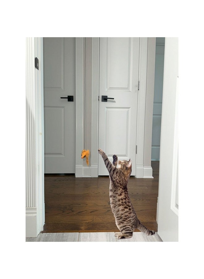 سبوت لعبة القطة SPOT A-Door-Able Bouncing Mouse - لعبة تفاعلية مع خشخيشة ونعناع بري، تُسلي القطط لساعات، تُحفز غرائز الصيد الطبيعية، تُوفر تحفيزًا عقليًا، تُعلق في أي إطار باب - Image 4