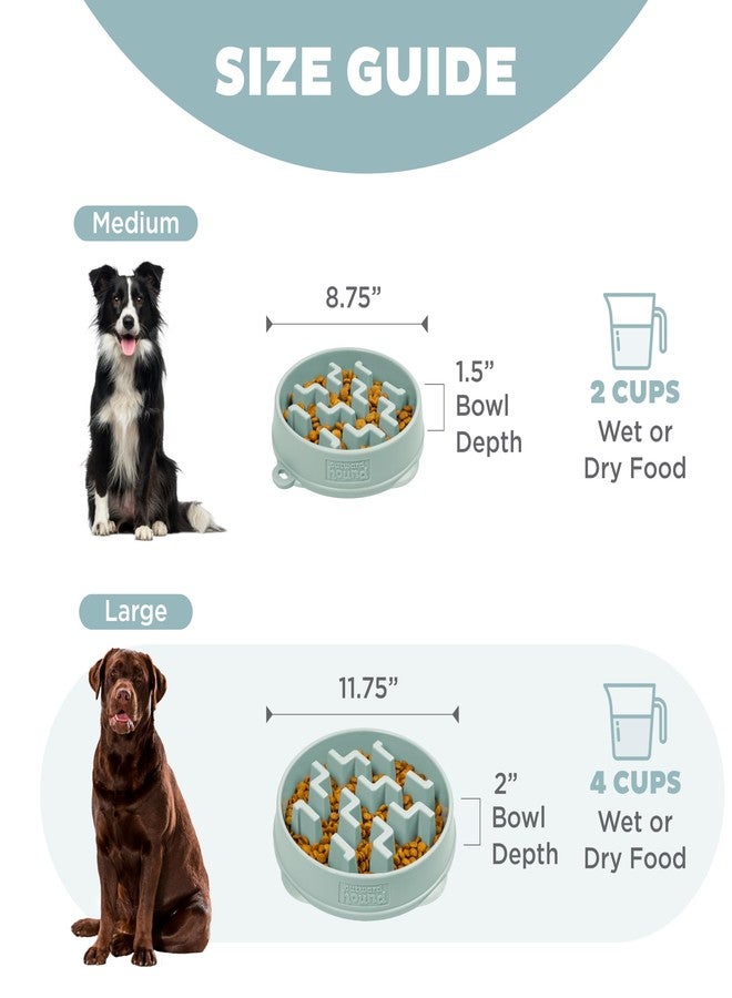 Outward Hound Medium Slow Feeder Bowl, Puzzle Maze for Fast Eaters, Small to Medium Dogs, Helps Prevent Bloat & Aid Digestion, Holds 2 Cups Wet or Dry Food, Non-Slip, Made Without BPA, Sage - Image 5