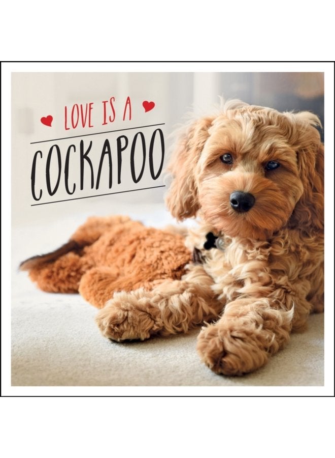 Love is a Cockapoo A Dog Tastic Celebration of the World s Cutest Breed - Hardback