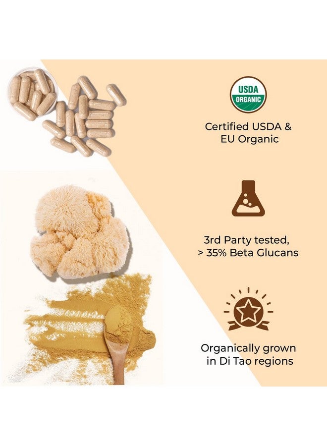 Rooted Actives Focus Bundle Capsule (Lion's Mane Capsules, Mushroom Complex Capsules) - Image 2