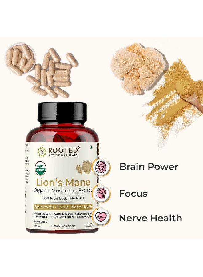 Rooted Actives Focus Bundle Capsule (Lion's Mane Capsules, Mushroom Complex Capsules) - Image 3