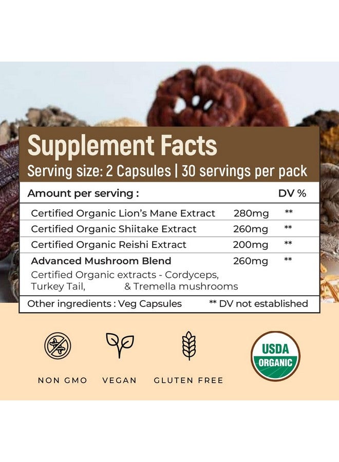 Rooted Actives Focus Bundle Capsule (Lion's Mane Capsules, Mushroom Complex Capsules) - Image 4