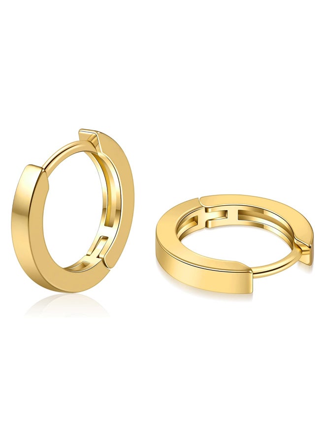 Generic Small Gold Hoop Earrings for Women, 14K Gold Plated  - Image 1