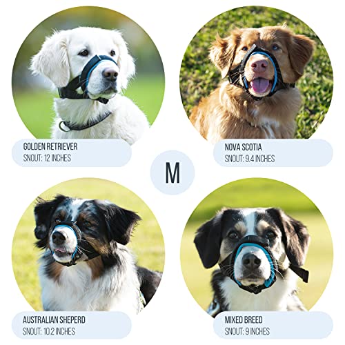 GoodBoy Gentle Muzzle Guard for Dogs - Prevents Biting and Unwanted Chewing Safely Secure Comfort Fit - Soft Neoprene Padding – No More Chafing – Training Guide Helps Build Bonds with Pet (M, Grey) - Image 3