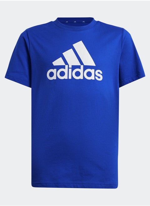 Essentials Big Logo Cotton T-Shirt