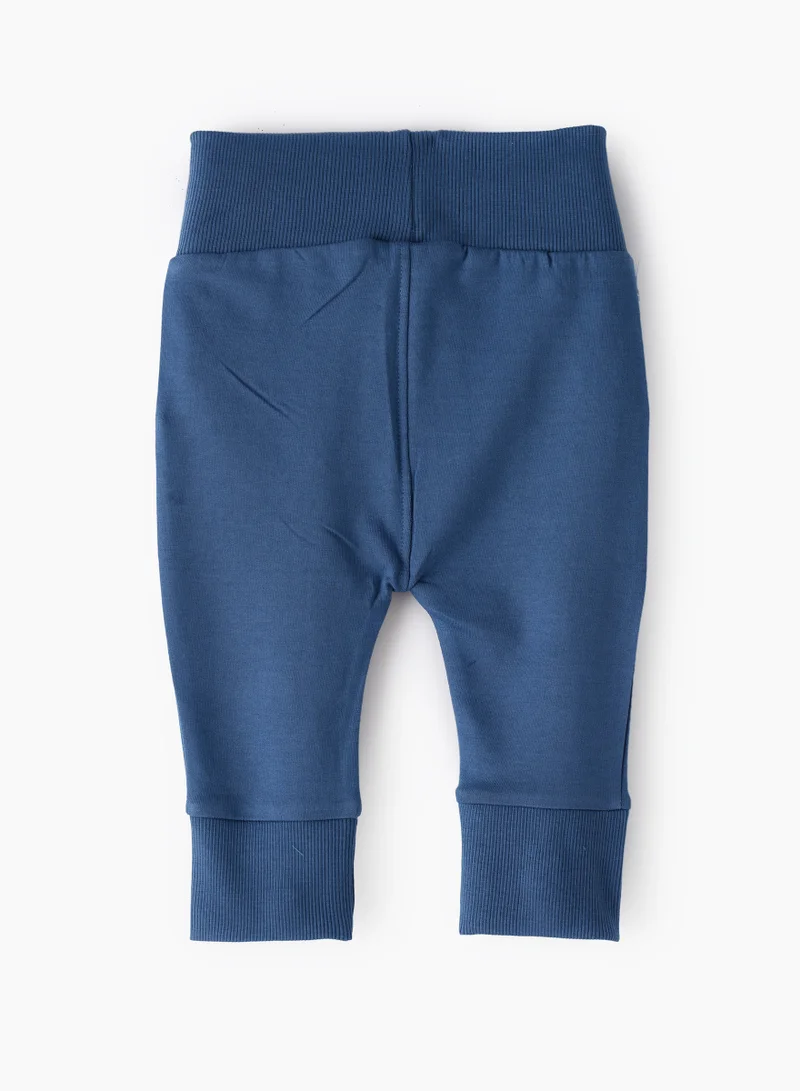 JAM Cozy Comfort & Cool Style: Boys' Cotton Knit Joggers  Perfect for Play or Relaxation